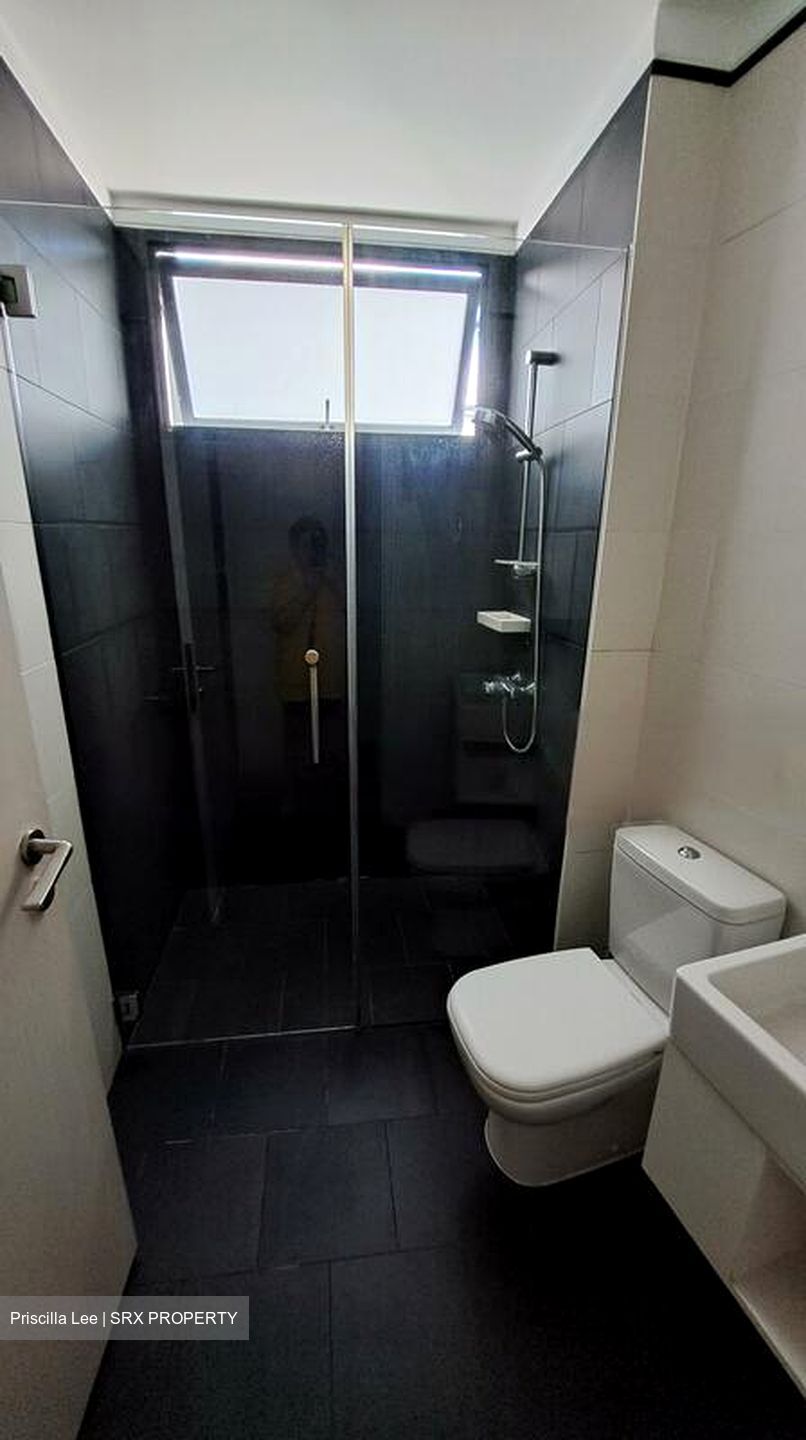 Village @ Pasir Panjang (D5), Condominium #454917271